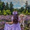 lavendercool